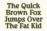 CS Clarion Drawn, a Serif Font by Craft Supply Co. (Thumbnail 2 of 8)