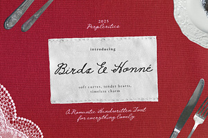 Birds & Honné Romantic Handwritten, a Handwritten Font by Perplexitics