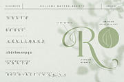 Rallomy Nature Beauty Serif, a Serif Font by alit design (Thumbnail 11 of 15)