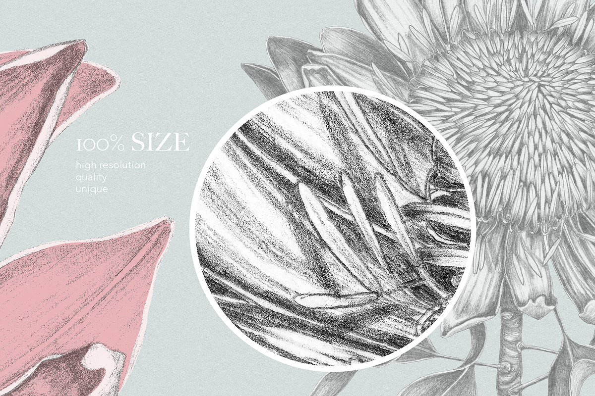 Luxury Sketchy Floral Vintage, a Pattern Graphic by Alisa Fimen Design (Photo 5 of 11)