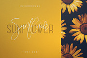 Sunflower - Font Duo, a Script Font by VP Fonts (Thumbnail 1 of 12)