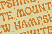 FLUME GORGE by Abby Leighton, a Font by Abby Leighton Studio (Thumbnail 4 of 4)