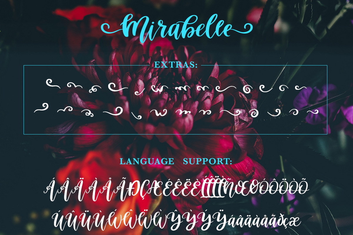 Mirabelle Script - Font with Extras! preview 8