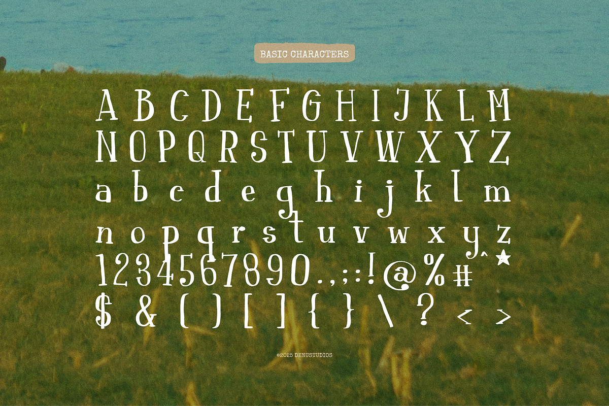 Yoon Path | Quirky Handwritten, a Handwritten Font by Denustudios (Photo 10 of 12)