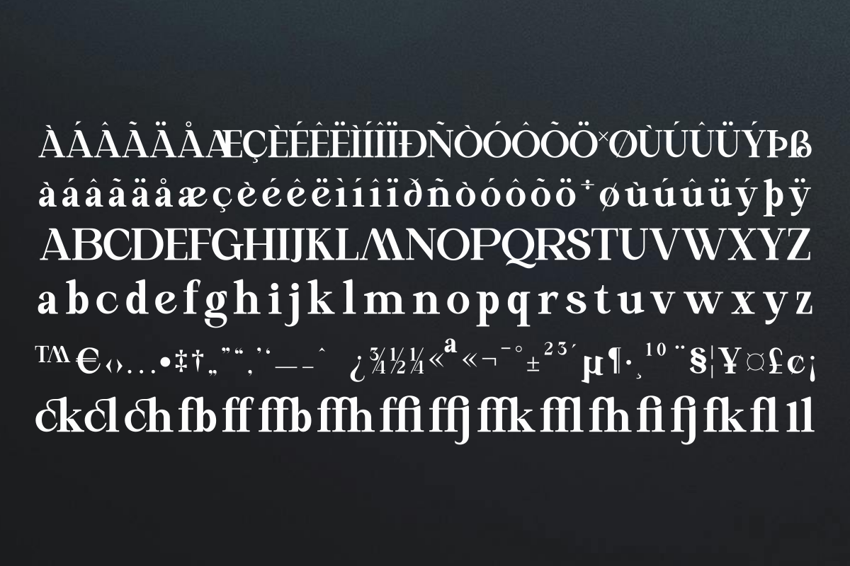 Marvello Roman, a Serif Font by zaaintype (Photo 7 of 11)
