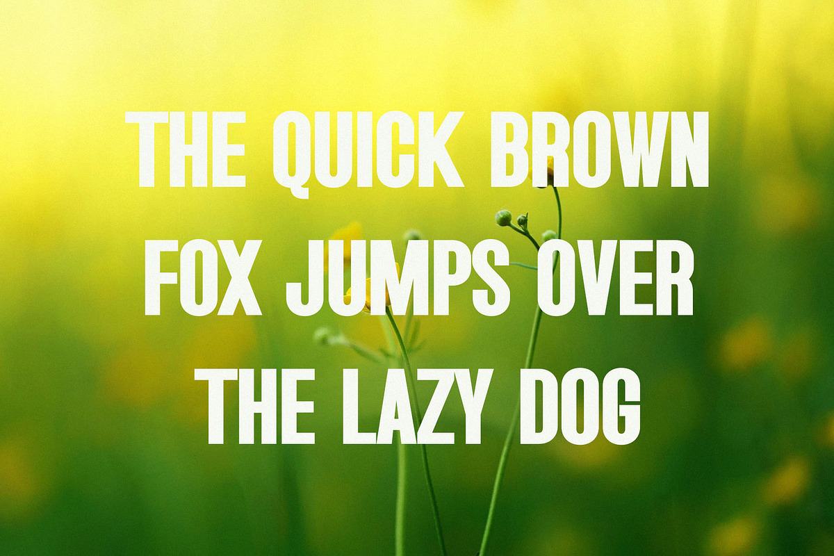 Ataria - Modern Condensed Sans, a Sans Serif Font by TypeLogue (Photo 2 of 5)
