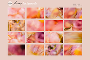 Blurred Dreamy Gradient Backgrounds, a Background Graphic by eclosque (Thumbnail 33 of 37)