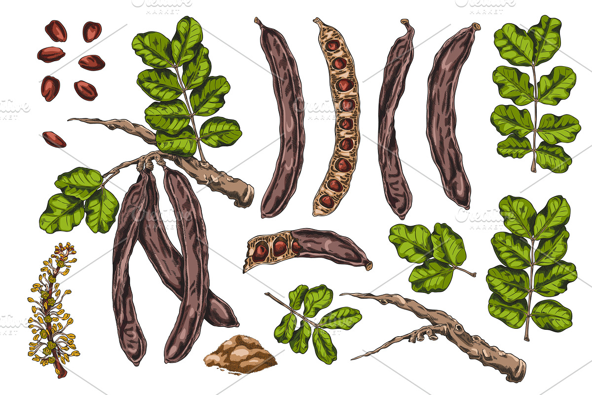 Set of color sketch elements of, a Food Illustration by Sabelskaya