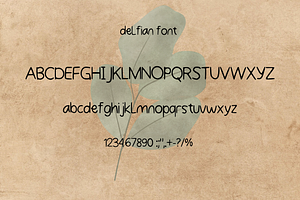 Handwriting Font - Delfian