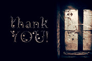 Magic Ivy. Botanical Font., a Serif Font by AnMark (Thumbnail 15 of 15)