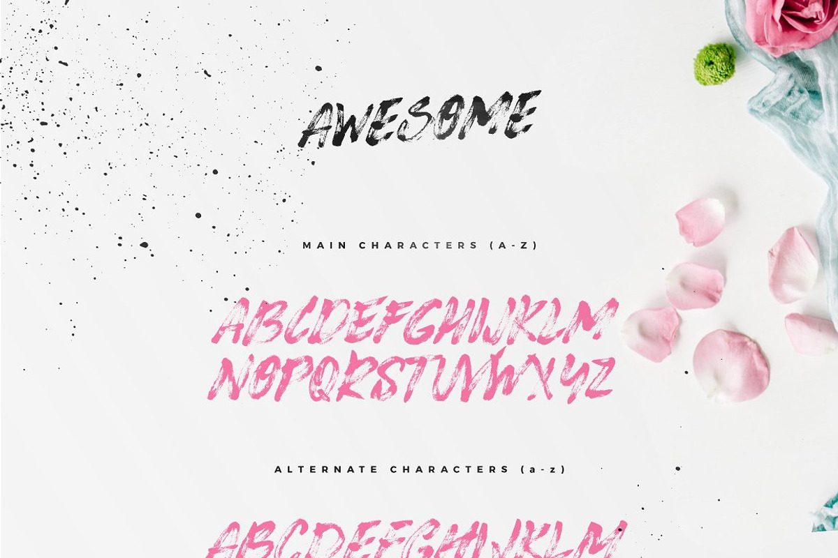 Typographer's Dream Box + 200 Logos, a Script Font by Mats-Peter Forss (Photo 125 of 130)
