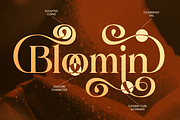 Hellian - Modern Lavish Luxury Font, a Serif Font by Sensatype (Thumbnail 9 of 13)