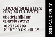 Nelona Serif, a Serif Font by Megatype (Thumbnail 9 of 11)