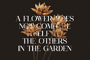 Kasir Elegant Serif Font Typeface, a Serif Font by Perfectype (Thumbnail 3 of 7)