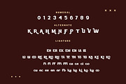 Farosh - Display Font, a Handwritten Font by trabaskriya (Thumbnail 11 of 13)