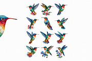Watercolor Hummingbird Clipart, an Illustration by Libby Wishes (Thumbnail 3 of 4)