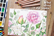 70% OFF! Floral set. Over 115 PNG, a Texture Illustration by Eva Katerina (Thumbnail 6 of 8)