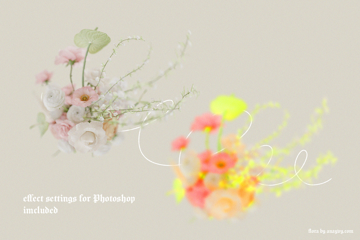 FLORA.PNG | Blurry Flower Collage, an Object Graphic by ana & yvy (Photo 17 of 23)