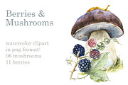 Berries & Mushrooms Clipart, an Illustration by Budogoshch (Thumbnail 1 of 7)