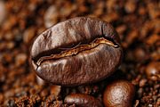 Coffee beans - 41 images, a Food & Drink Photo by Handmadefont (Thumbnail 3 of 12)
