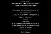 Alphabet Express Sans Serif Typeface, a Sans Serif Font by Ayca Atalay (Thumbnail 8 of 8)