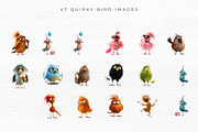 Quirky Bird Clipart, 47 PNG, an Animal Illustration by EllyandLima (Thumbnail 4 of 6)