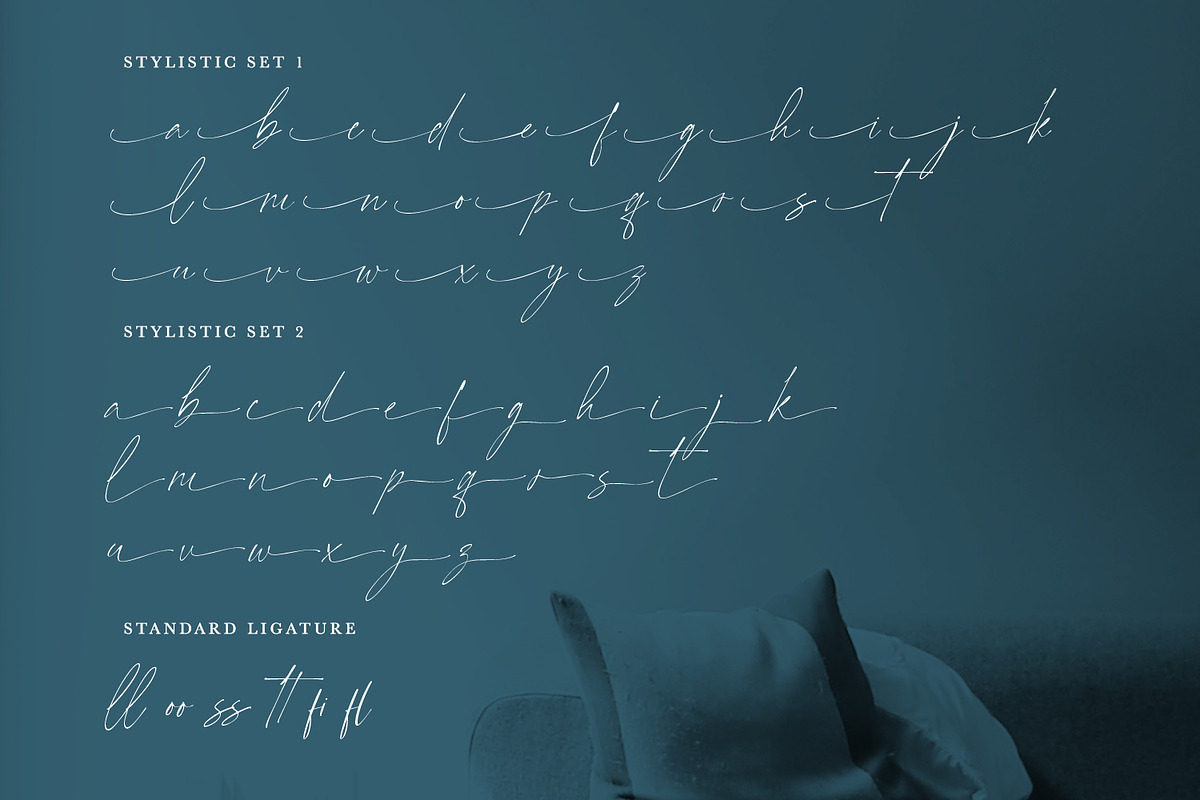 Pantheon Signature, a Script Font by din-studio.com (Photo 10 of 10)