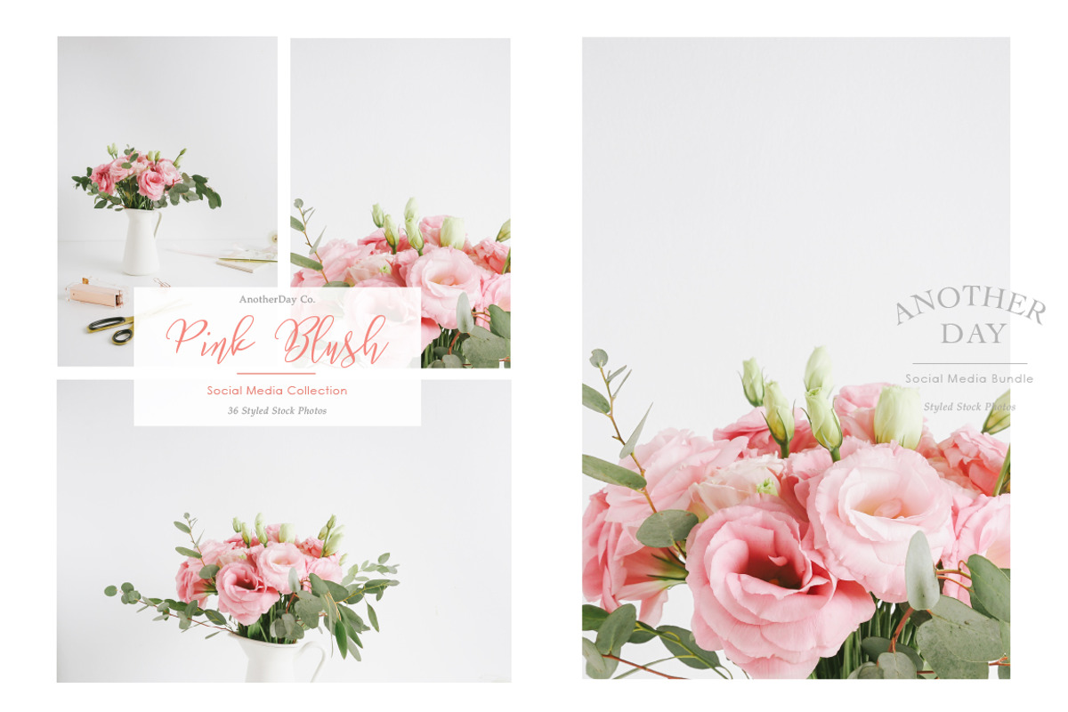 Pink Blush Flower Styled Stock Photo, a Print Template by Anotherday Co. (Photo 2 of 2)