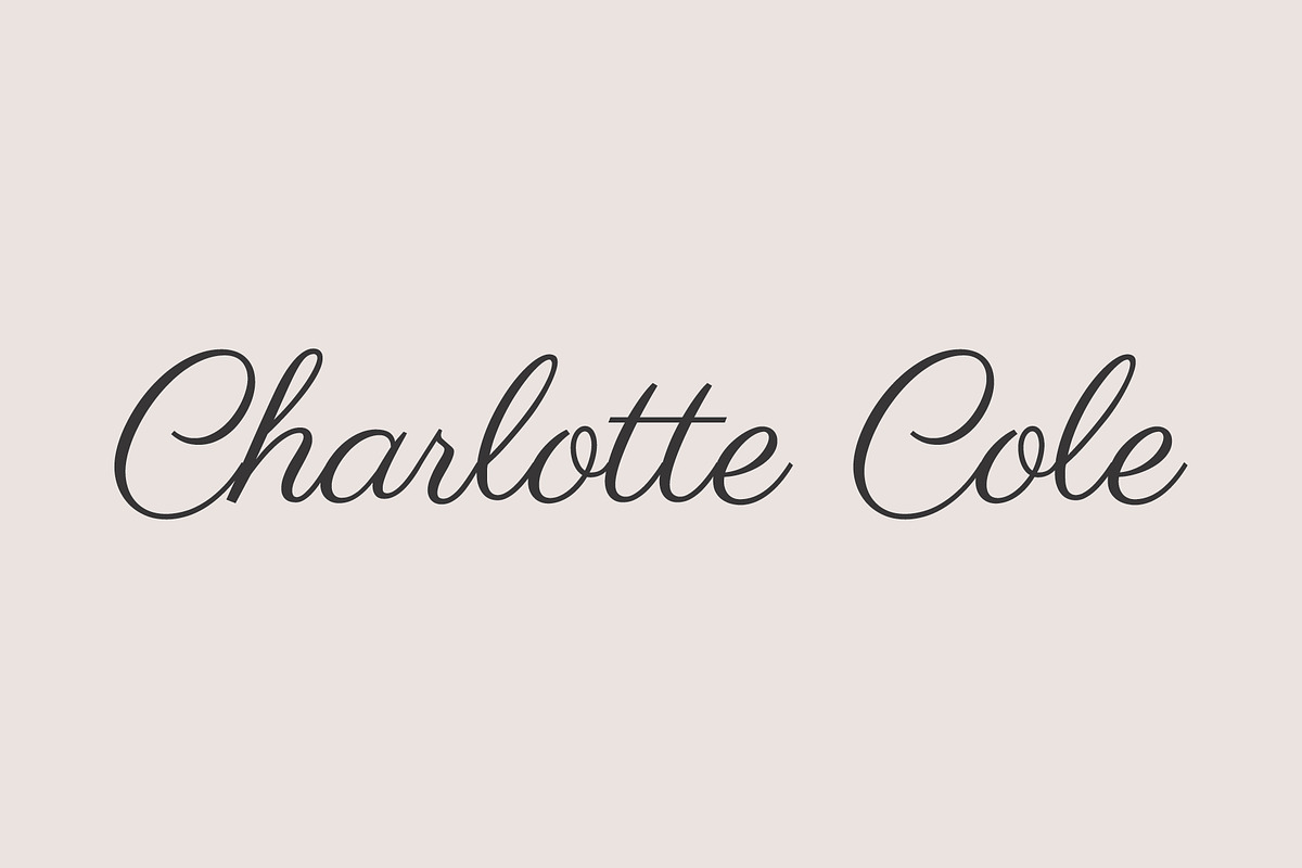 Charlotte Premade Logo, a Branding & Logo Template by studiolmh (Photo 2 of 6)