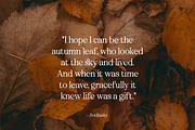 Unclare Serif Font Family (10 Fonts), a Serif Font by Heinzel Std (Thumbnail 19 of 19)