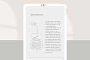 Gut Ebook Canva Template, a Presentation Template by Naturopath Hub (Thumbnail 8 of 9)