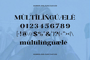 Baligon - Modern Bold Serif, a Serif Font by Typeformers (Thumbnail 7 of 8)