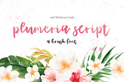Plumeria Script, a Script Font by Beck McCormick (Thumbnail 1 of 5)