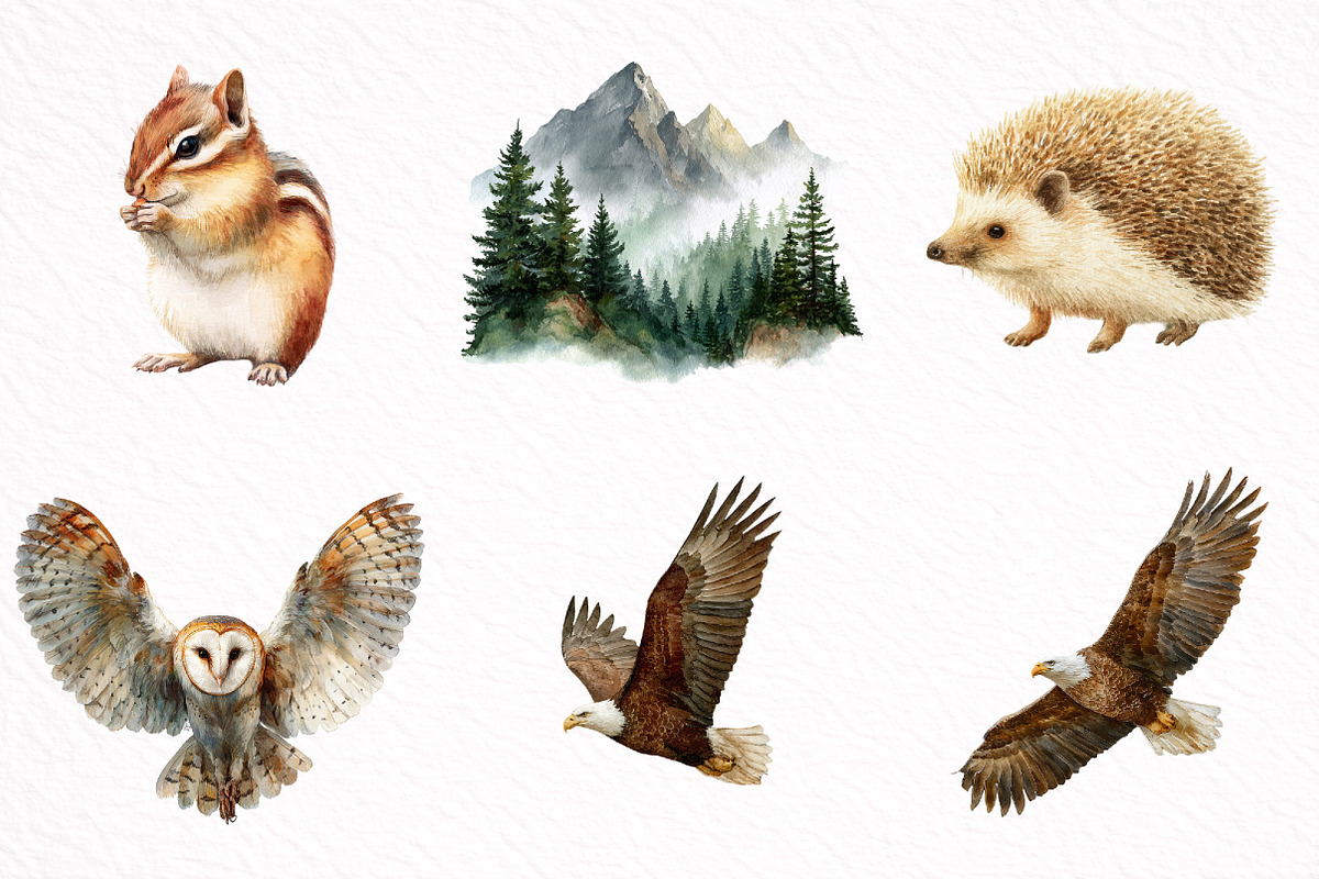 Watercolor Woodland Animals Clipart, an Illustration by DreamArtGraphic (Photo 5 of 8)
