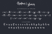 Christmas glamour, a Script Font by Letterara (Thumbnail 8 of 9)