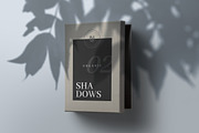 Organic Shadows Effect Collection II, a Product Mockup by The Iconic (Thumbnail 4 of 8)
