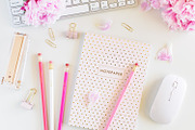 Pink peony stock photo bundle containing pink, peony, and fowers, a Business Photo by Savvy Stock Shop (Thumbnail 9 of 16)