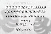 Gladiesk Poetriea, a Script Font by Integritype Studio (Thumbnail 7 of 15)