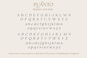 Puanto, a Serif Font by Larin Type Co. (Thumbnail 13 of 15)