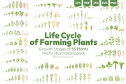 Life Cycle of Farming Plants, an Illustration by Ilia Design (Thumbnail 1 of 7)
