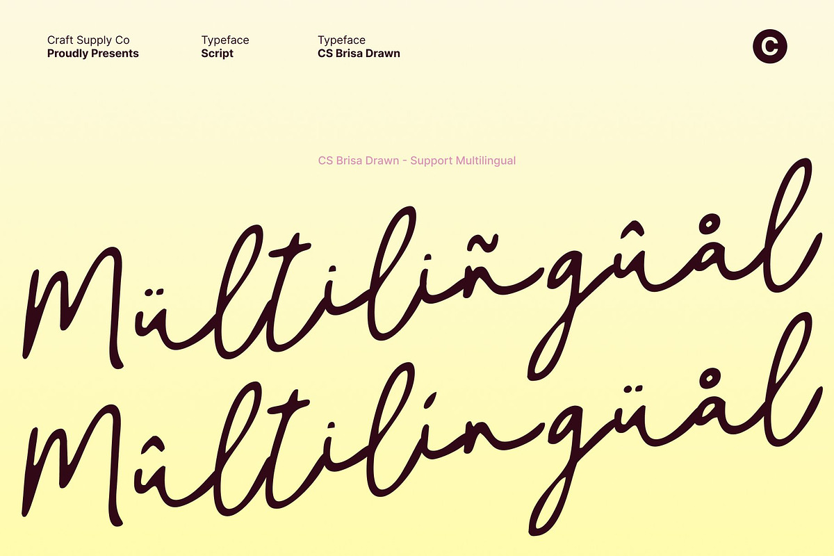 CS Brisa Drawn, a Script Font by Craft Supply Co. (Photo 7 of 8)