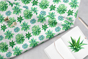 watercolor cacti and succulents, a Decorative Illustration by Hanna Hryharenka (Thumbnail 8 of 9)