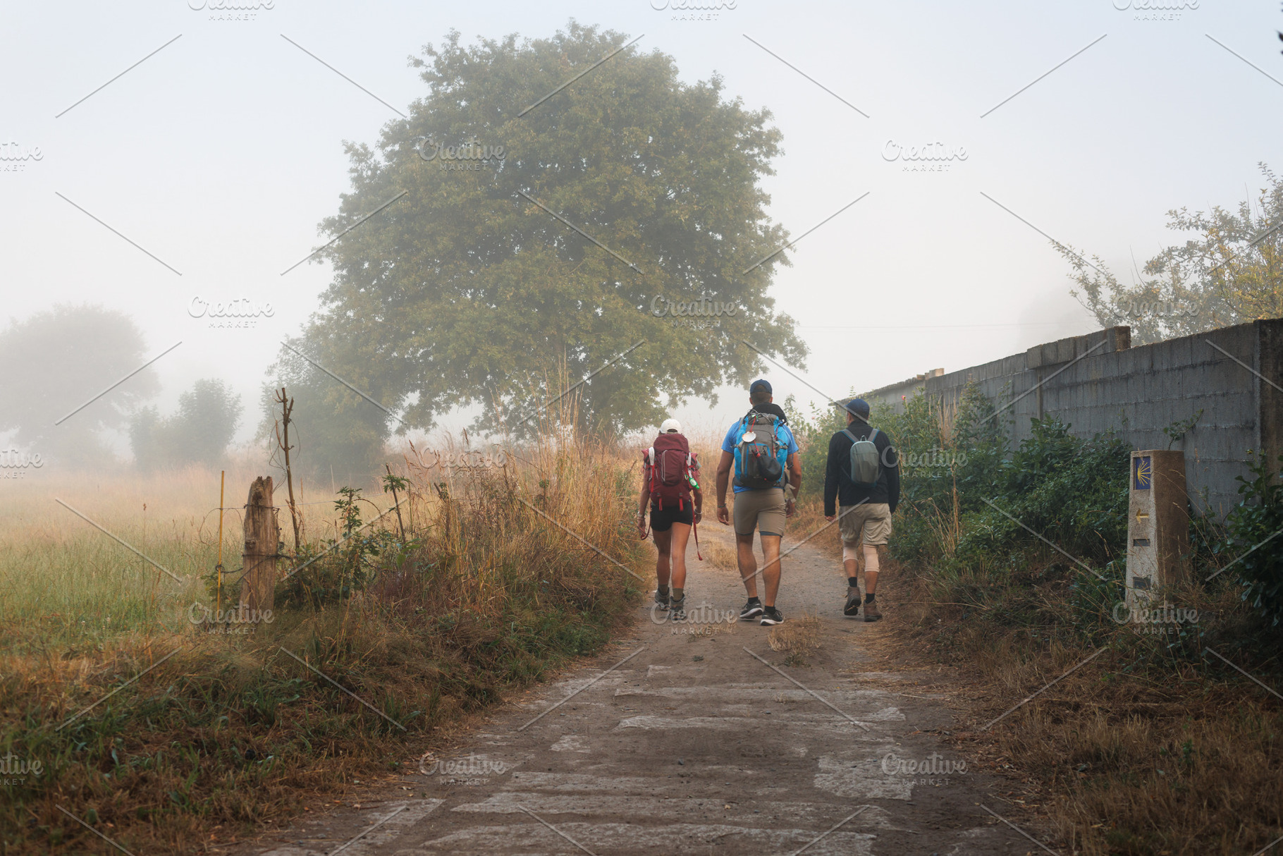 Pilgrims Walking on Foggy Rural Road, Camino de Santiago, Spain, a Person Photo by Bepslabor
