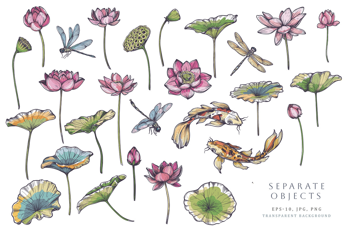 Lotus, Koi, Dragonflies. Vector Set, a Pattern Graphic by Molly art (Photo 2 of 14)