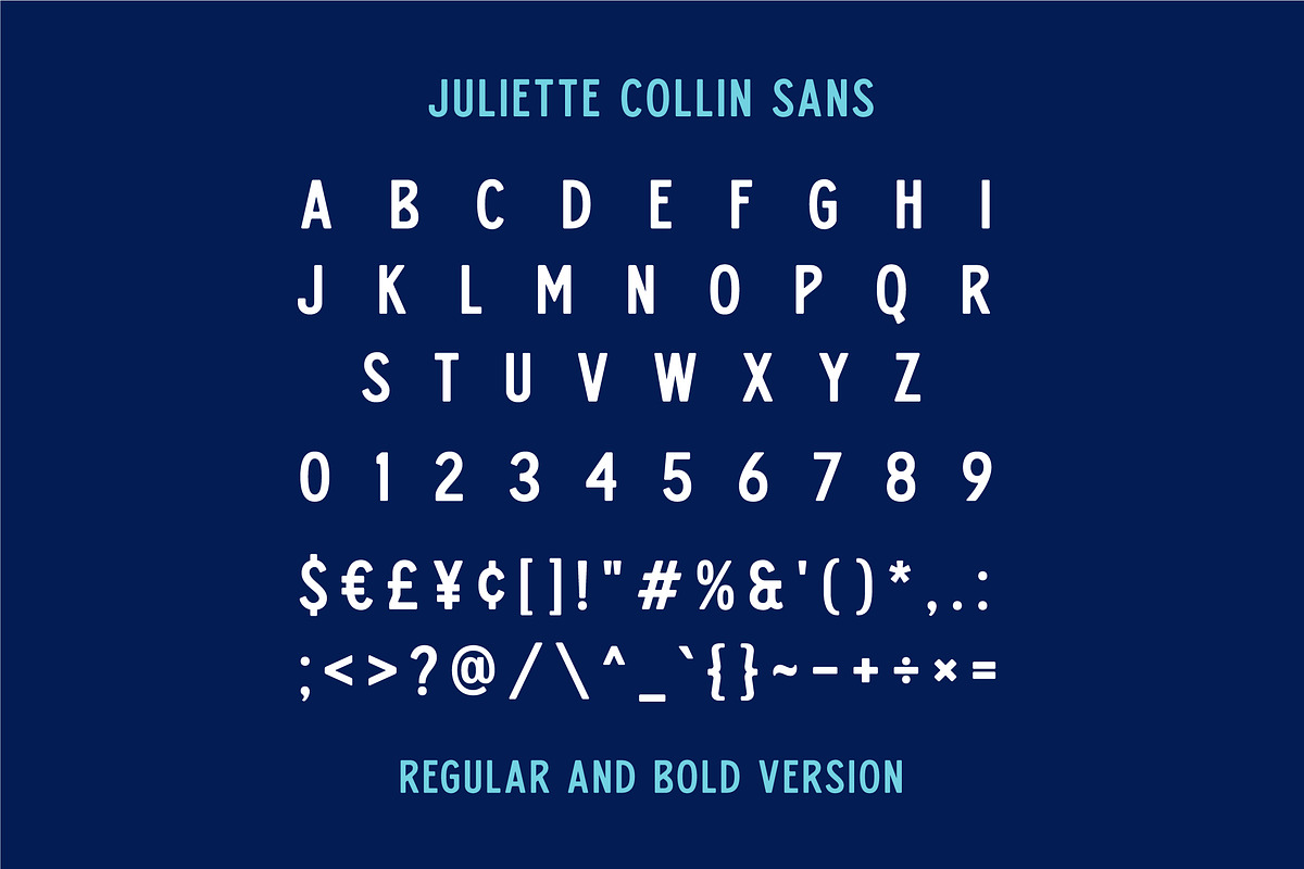 Juliette Collin - Vintage Font Famil, a Script Font by Grezline Studio (Photo 12 of 13)