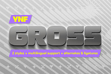 YNF Gross | Display font 2 styles