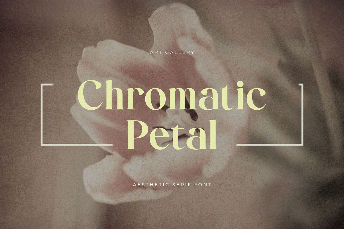Qalgeri – Modern Elegant Serif Font, a Serif Font by BrandSemut (Photo 6 of 8)