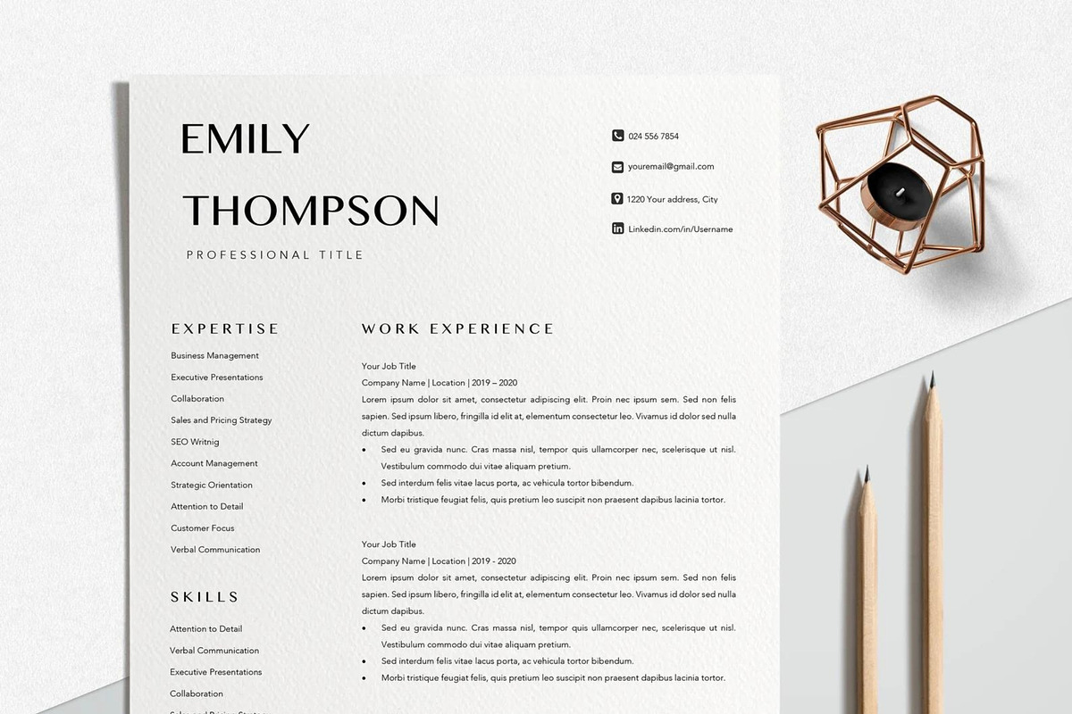 Resume Template Professional, a Resume Template by LucaTheme (Photo 2 of 10)