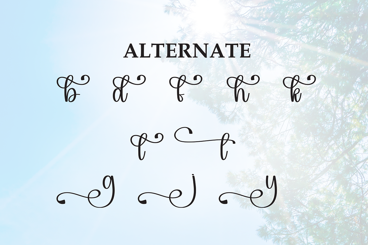 Bright Monday | Script Font, a Handwritten Font by Scratchones (Photo 8 of 9)