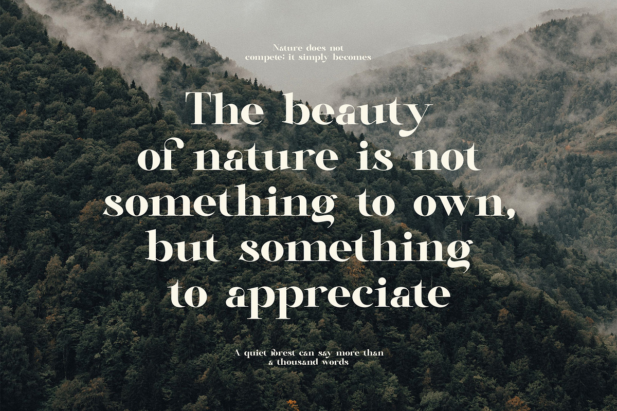 Rafina Elegant Serif Font, a Serif Font by Graphicxell (Photo 6 of 8)
